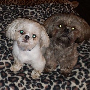 Meet your Posher, Mary